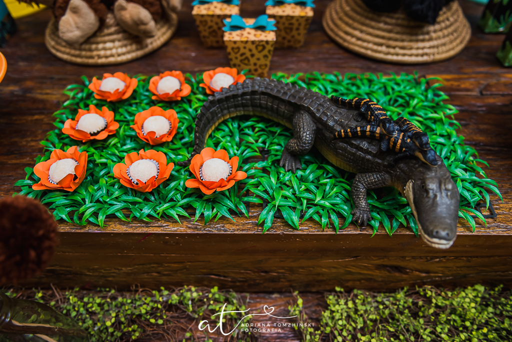 fotografia-festa-infantil-rj, tema-festa-selva, fotografia-de-familia, adriana-tomzhinski-fotografia, foto-aniversario-infantil, fotografo-aniversario-infantil, casa-pitanga-pitangueira, botafogo