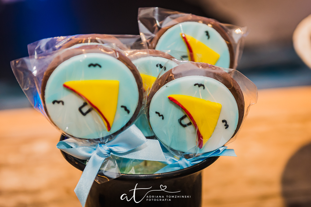 fotografia-festa-infantil-rj, tema-festa-esportes-radicais, fotografia-de-familia, adriana-tomzhinski-fotografia, foto-aniversario-infantil, fotografo-aniversario-infantil, festa-e-aventura, barra-da-tijuca