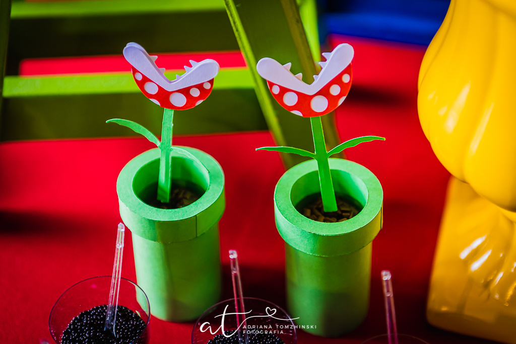 fotografia-festa-infantil-rj, tema-festa-mario-bros, fotografia-de-familia, adriana-tomzhinski-fotografia, foto-aniversario-infantil, fotografo-aniversario-infantil, casa-de-festas-sitio-voce-e-eu, taquara-jacarepagua