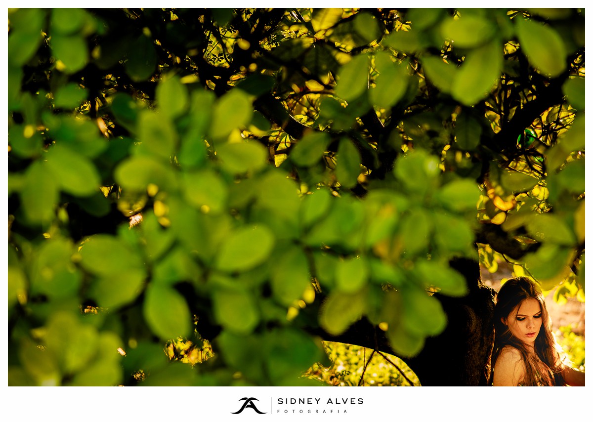 Marcella Fernandes - Fazenda Matumbo - Sousa - PB, Paraíba, Fotografo de casamentos, 15 anos, book de 15 anos, ensaio de 15 anos, sidney alves fotografia, fotografo em Sousa, Fotografo na paraíba, fotografo em cajazeiras