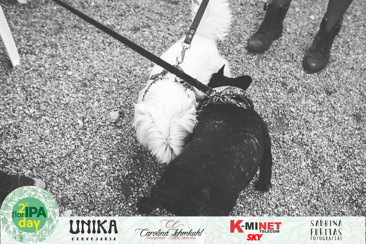 Fotos do evento que aconteceu em Florianópolis - Estacionamento do Burger Break - 2ª Edição FlorIPA Day - Sabrina Freitas Fotografias