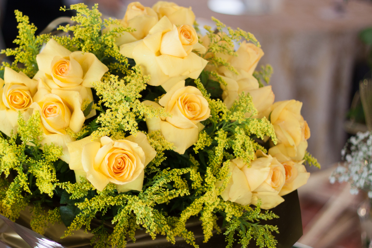 Bodas de Ouro - Griselda e Mauro - Sabrina Freitas Fotografias