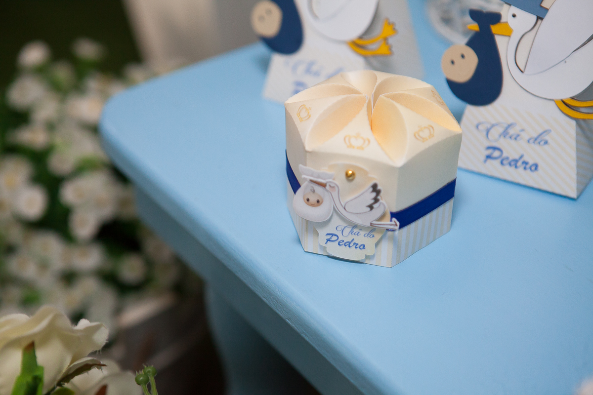 Fotografias ch&aacute; de beb&ecirc; do Pedro na F&aacute;brica de Festa localizada na Ponte do Imaruim Palho&ccedil;a Fotos Sabrina Freitas