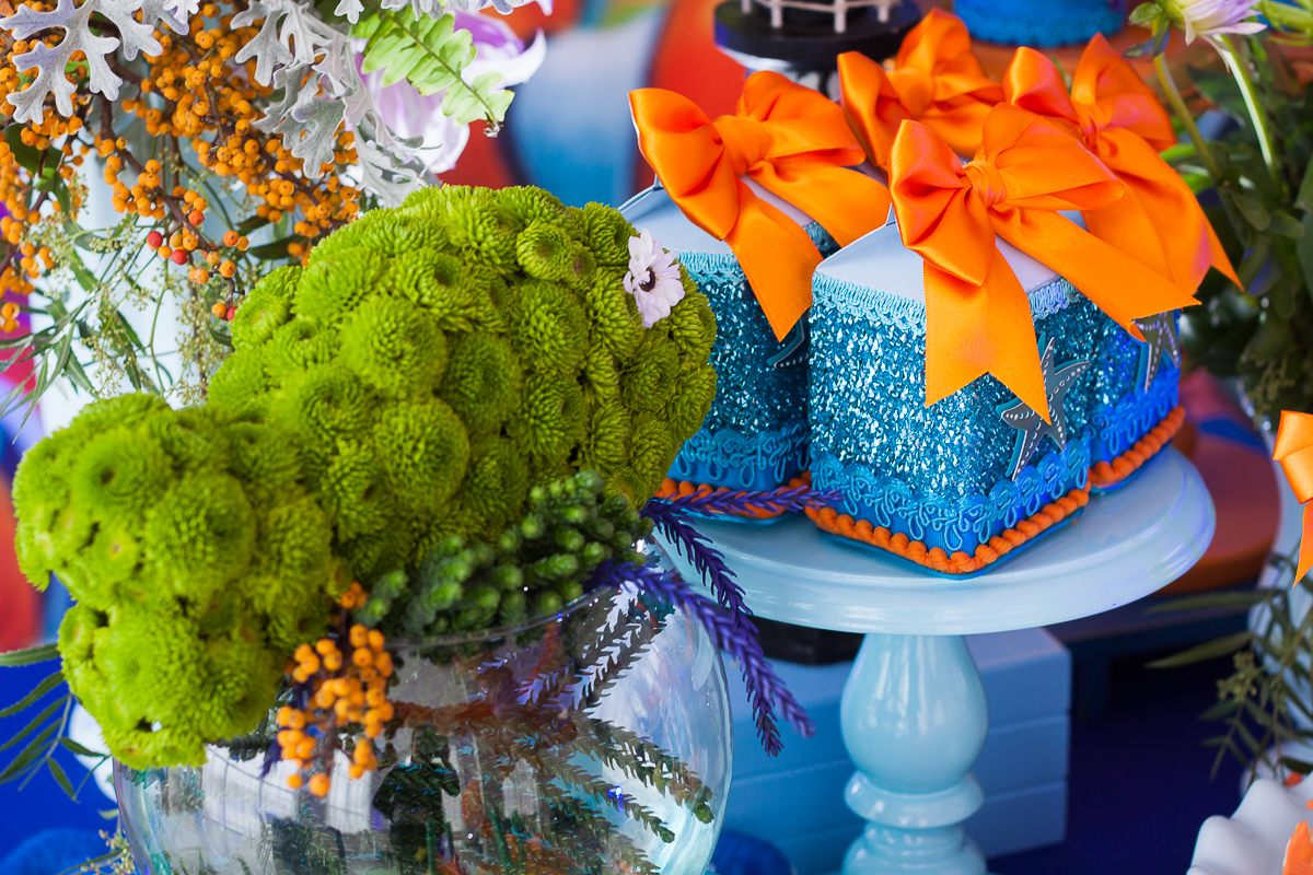 Fot&oacute;grafos infantis em anivers&aacute;rio de 1 ano, Sabrina Freitas Fotografias na Grande Florian&oacute;polis