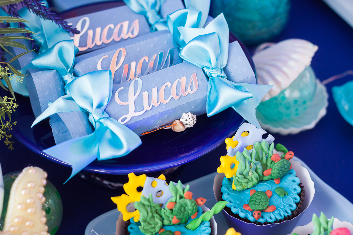 Fot&oacute;grafos infantis em anivers&aacute;rio de 1 ano, Sabrina Freitas Fotografias na Grande Florian&oacute;polis