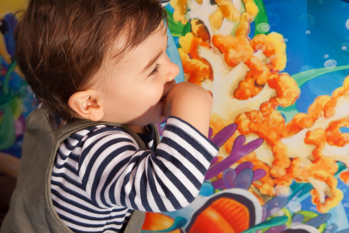 Fot&oacute;grafos infantis em anivers&aacute;rio de 1 ano, Sabrina Freitas Fotografias na Grande Florian&oacute;polis