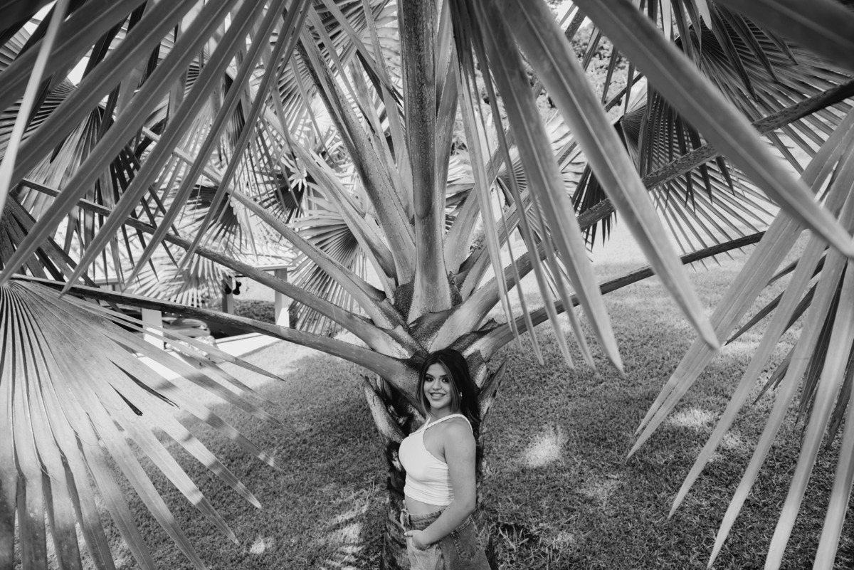 ensaio de 15 anos em conselheiro lafaiete