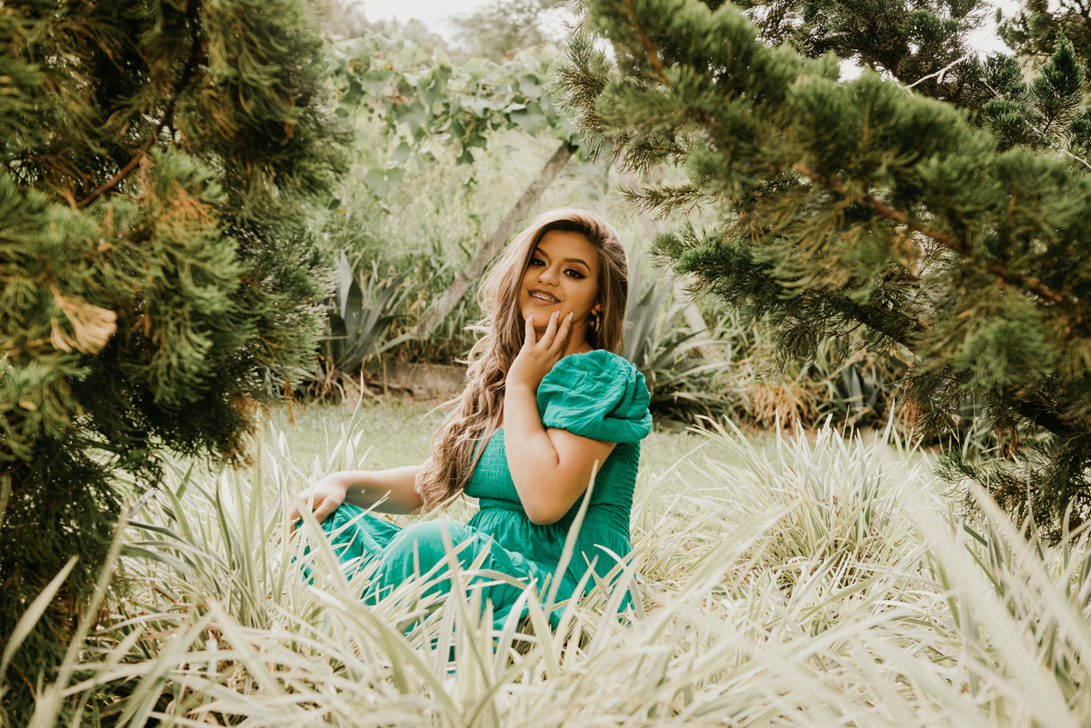 ensaio de 15 anos em conselheiro lafaiete