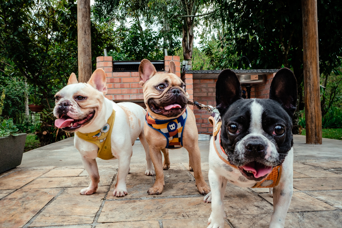 Casamento em Colombo PR