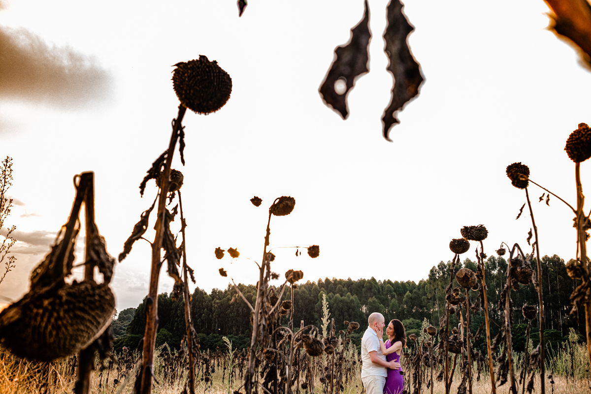 Ensaio de Pré Casamento no Lavandário Vale dos Sonhos na COlonia Witmarsum