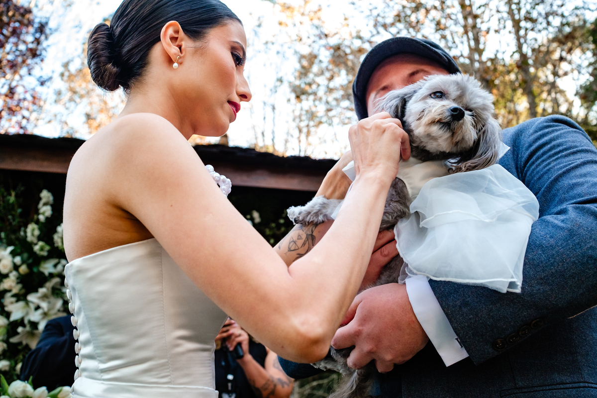 Casamento no Castelo da Serra / Piraquara | PR