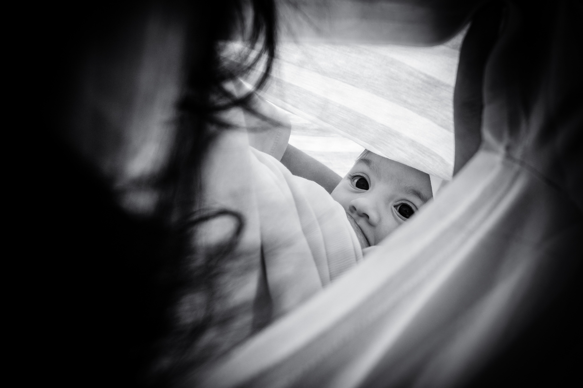 Ensaio de Família no Jardim Botanico de Curitiba