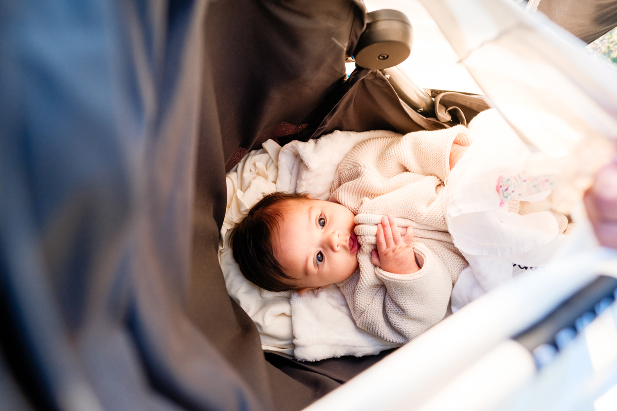 Ensaio de Família no Jardim Botanico de Curitiba