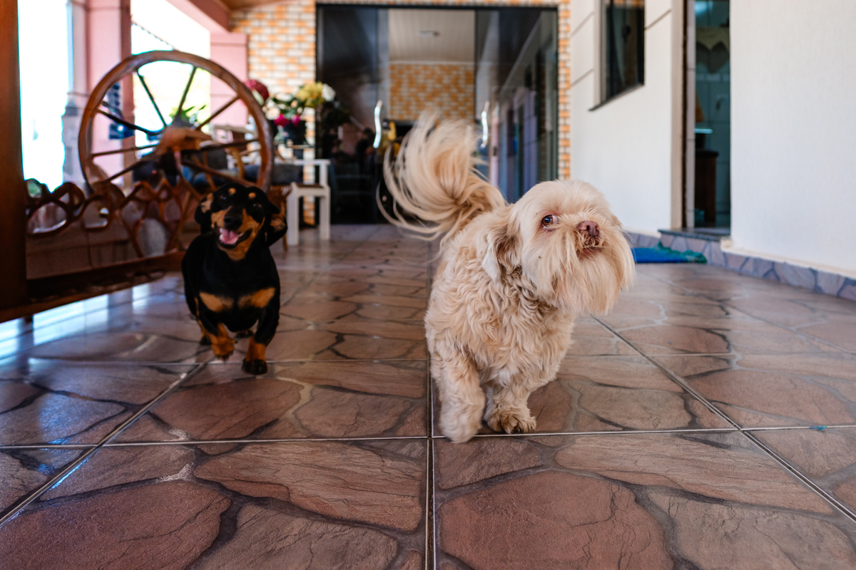 Casamento na Lapa PR