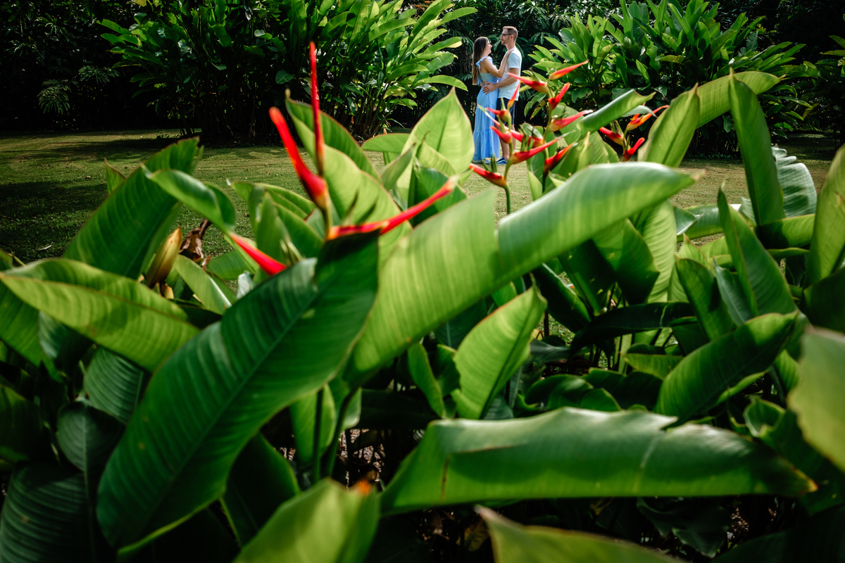 Pedido de casamento no Hemero Jardim Joinville