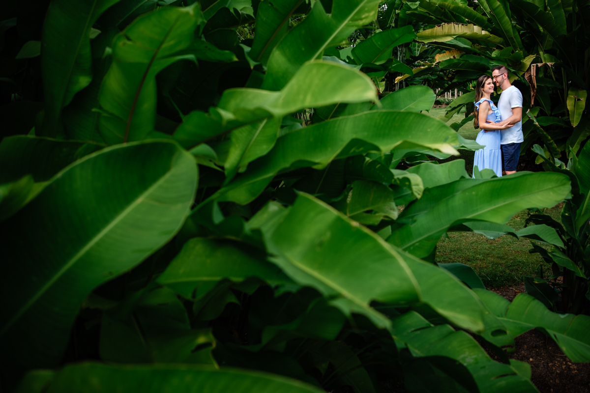 Pedido de casamento no Hemero Jardim Joinville