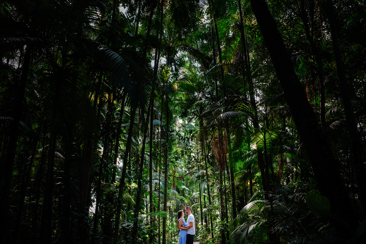 Pedido de casamento no Hemero Jardim Joinville