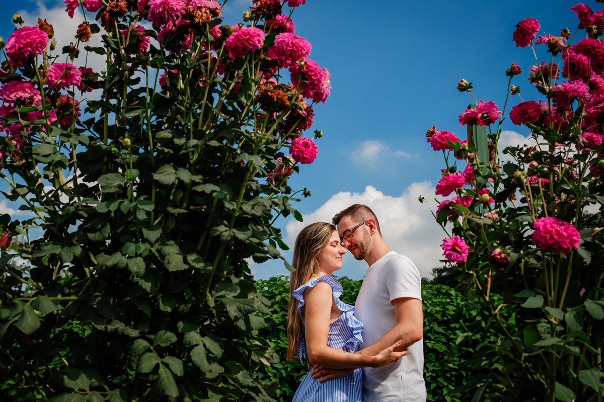 Pedido de casamento no Hemero Jardim Joinville