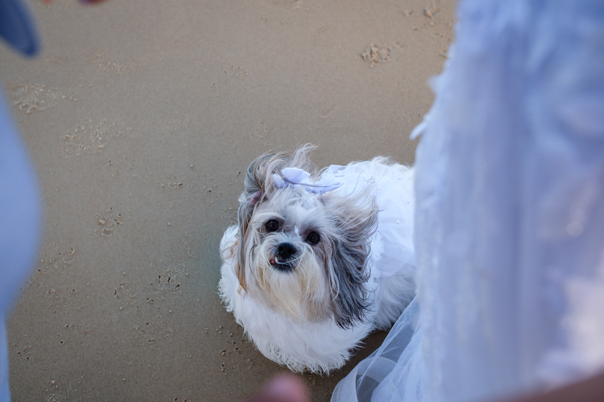 Casamento no Restaurante MACUCO em Bombinhas