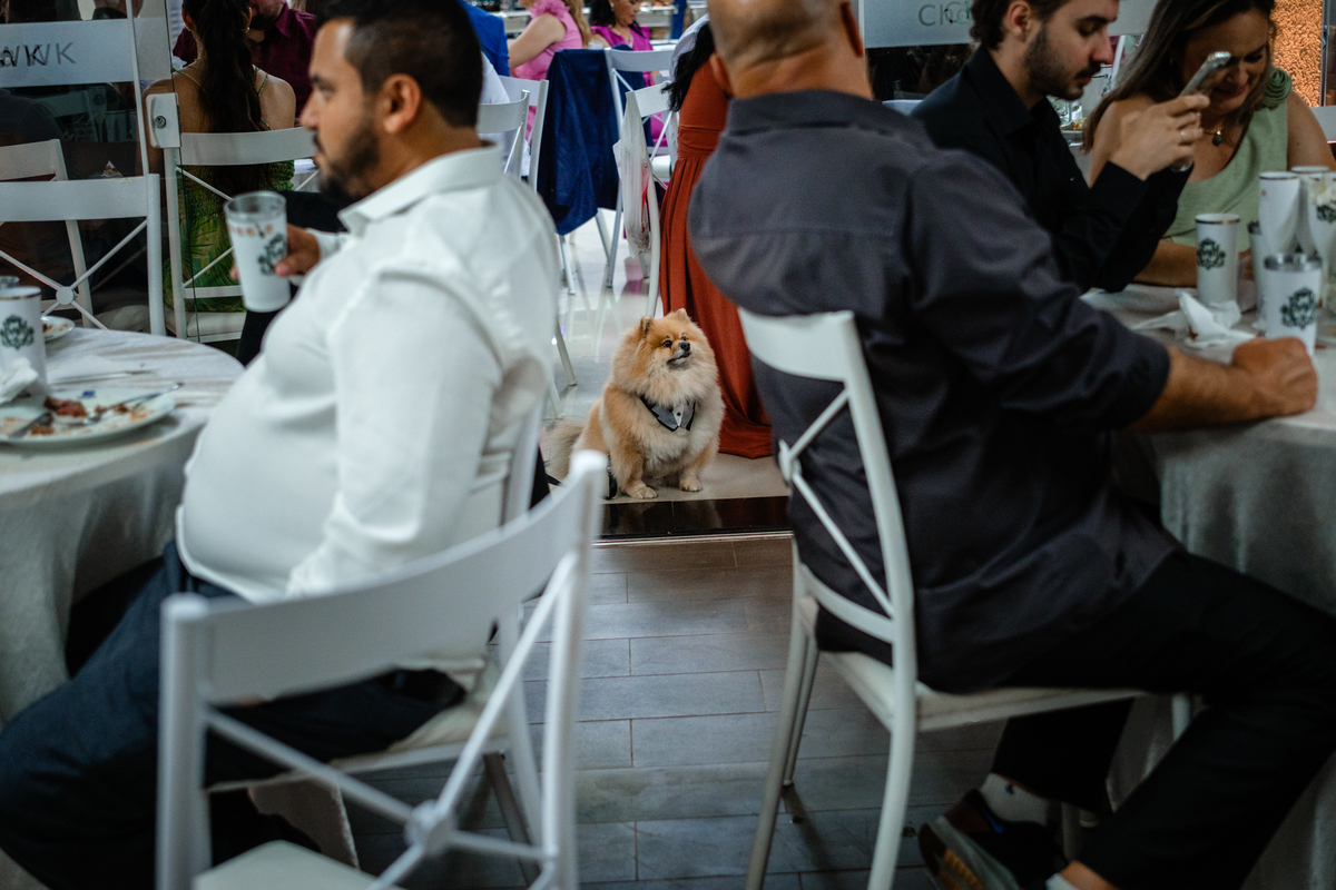 Casamento na Chácara WK - Campo Largo