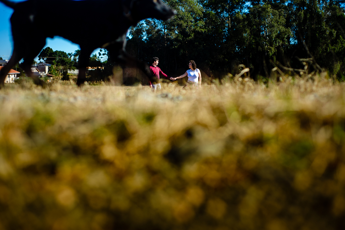 Pre Casamento Parque Ouro Fino em Campo Largo / PR