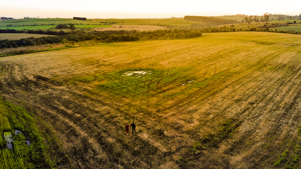 Ensaio de Pré Wedding na Colonia Witmarsum