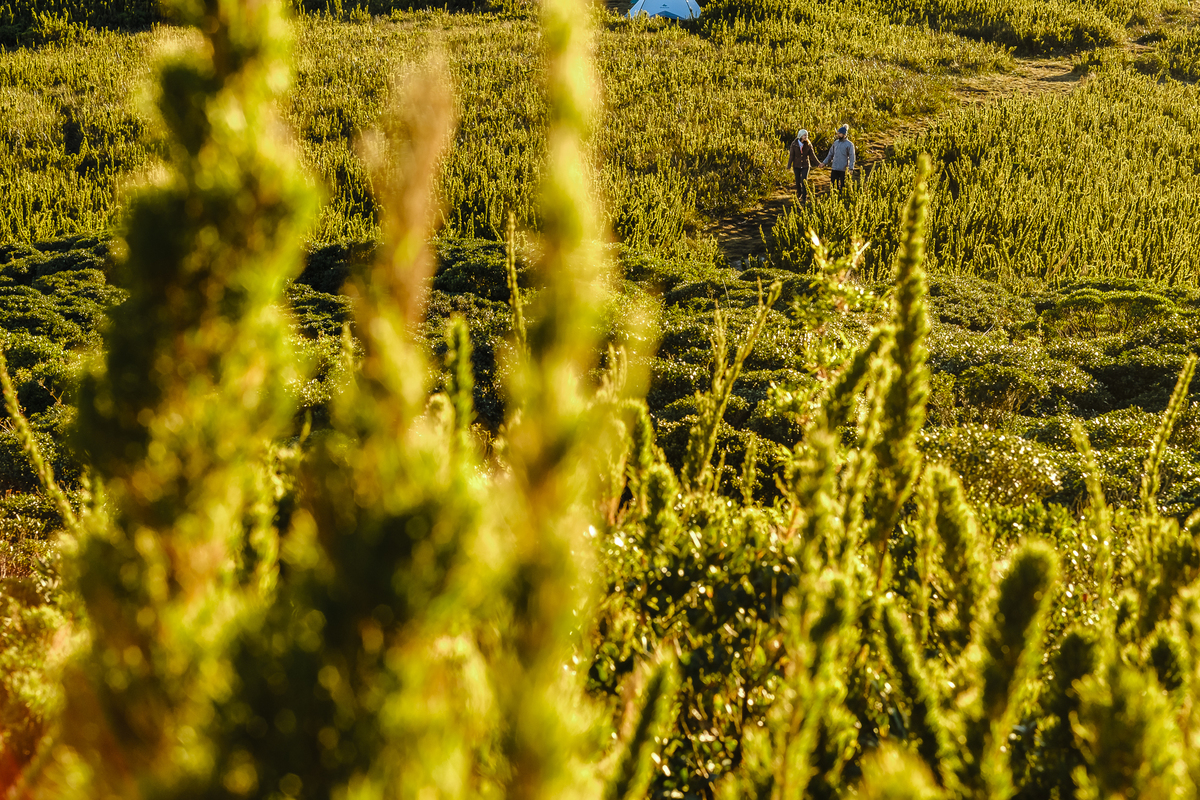 Ensaio de Pré Wedding na Montanha, no Pico do Itapiroca