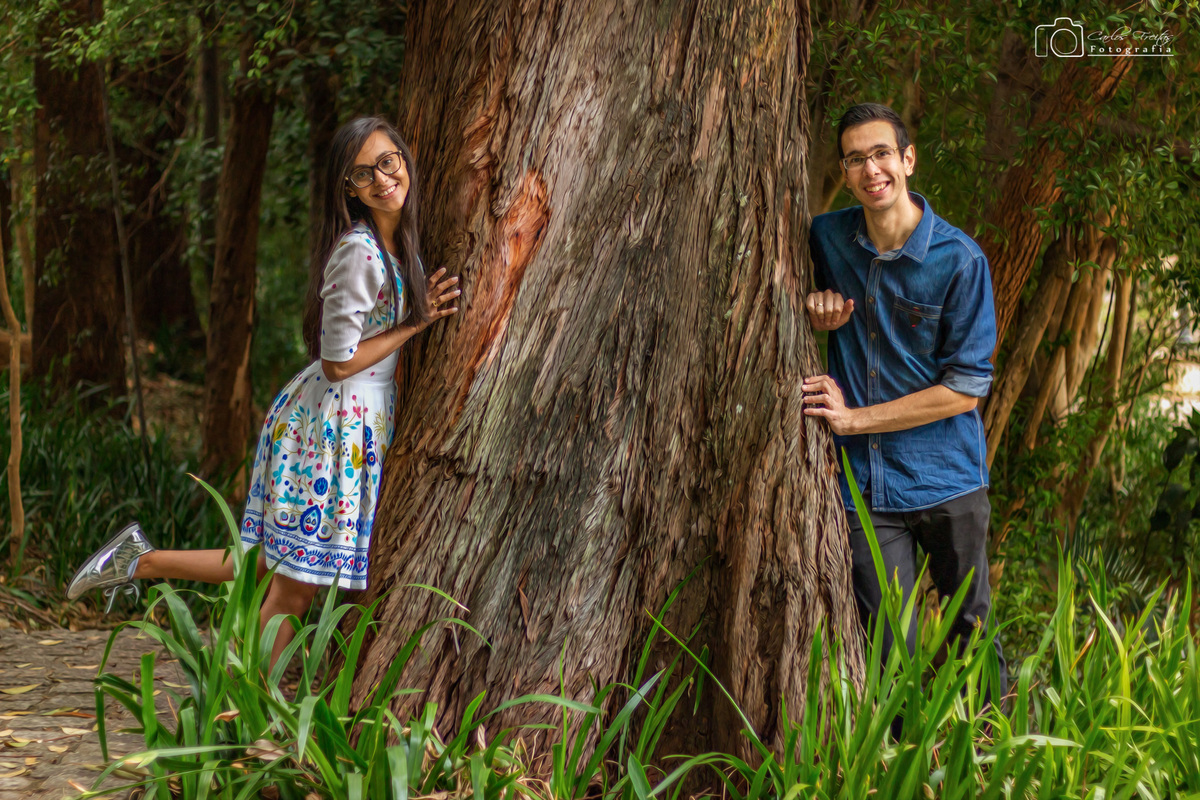 casais ao lado da arvore