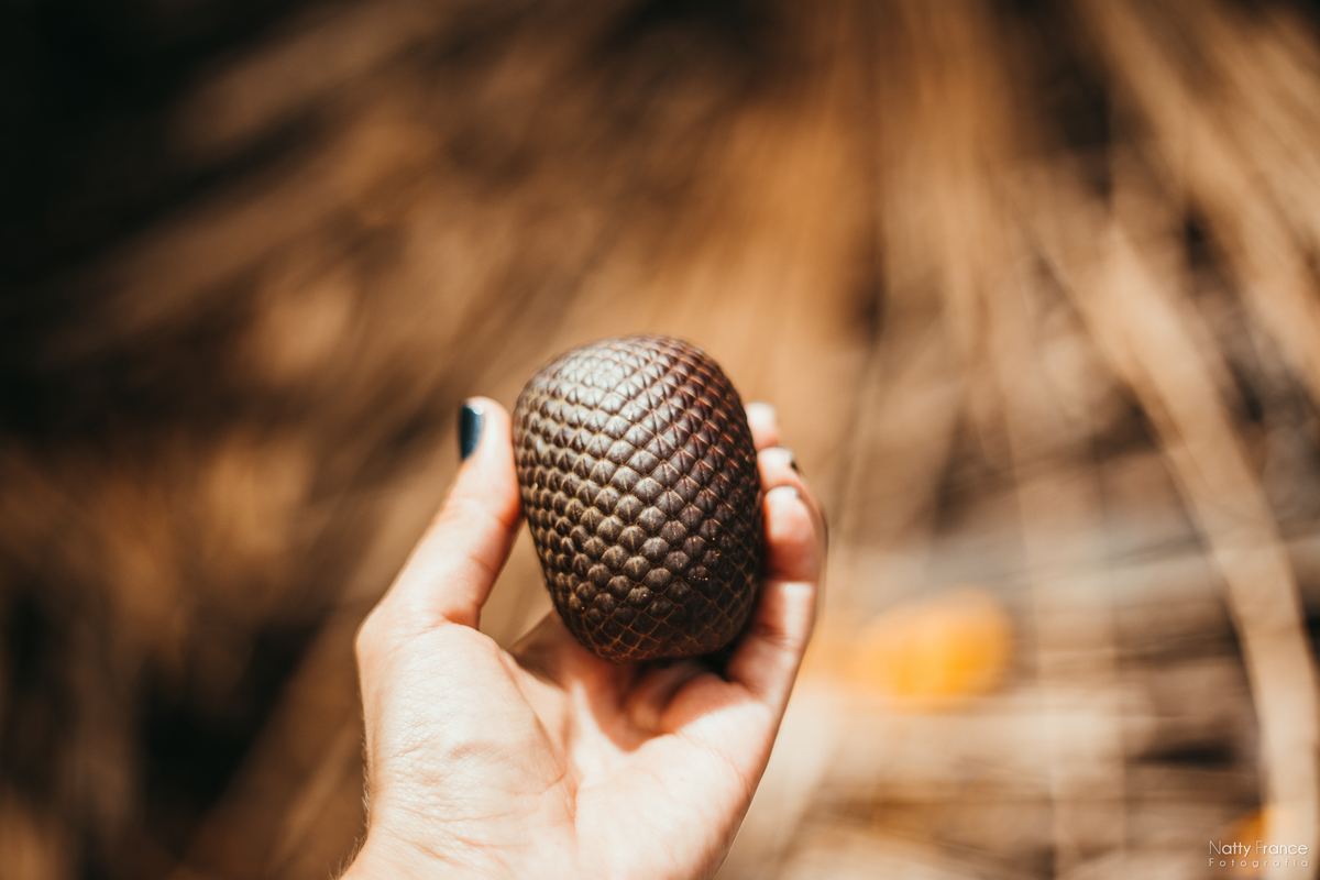 Buriti