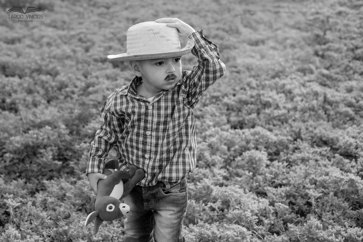 Fotografo Guanambi, Tarcio vinicios fotografia, fotografo Caetite, Fotografo Monte alto, Fotografo Candiba, Fotografo, Pindai, Fotografo Tanque Novo, Fotografo Brumado, café com fotos