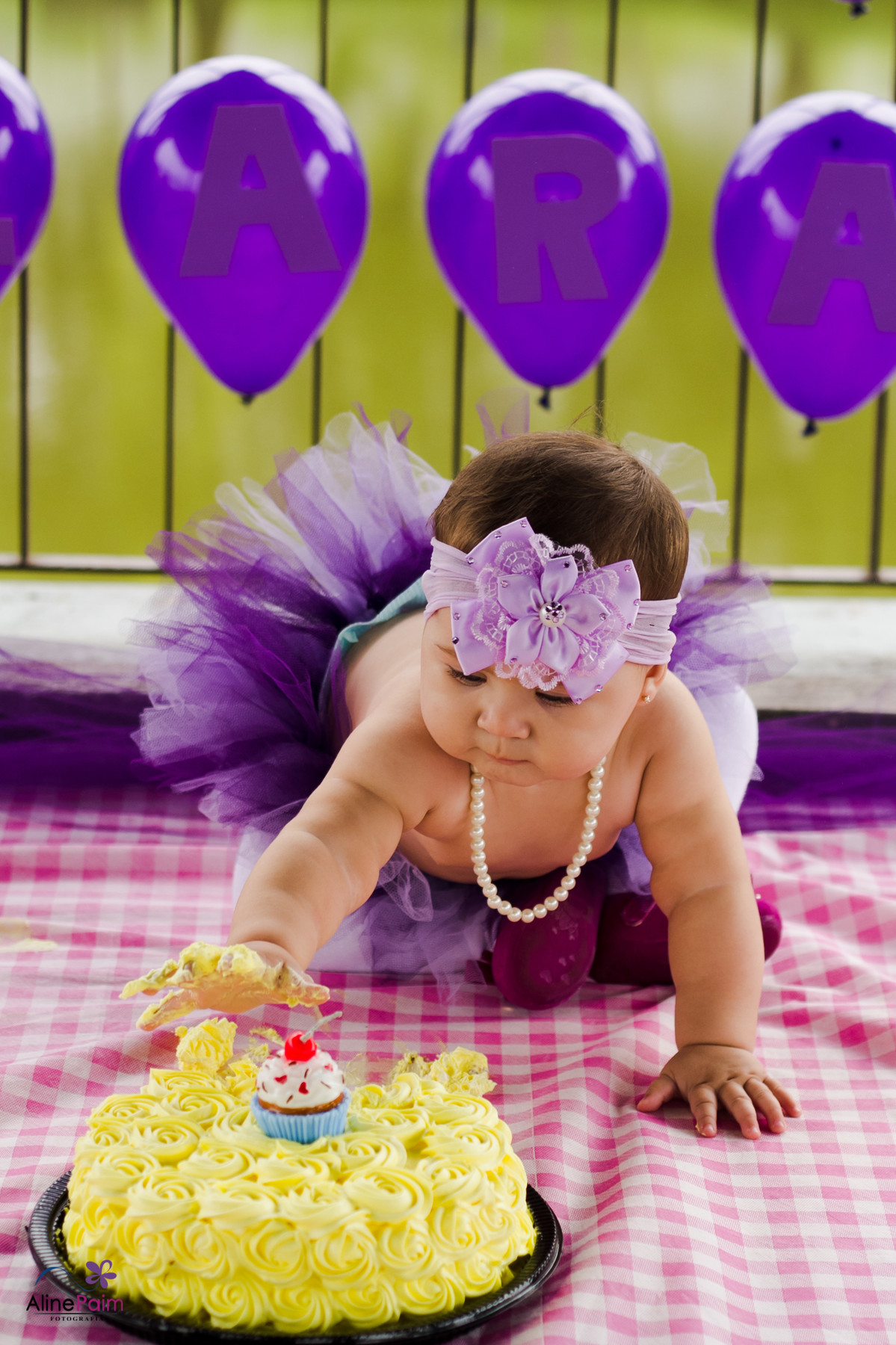 aline paim fotografia, ensaio familia, fotografo de familia, ensaio externo joinville, joinville, smash the cake, ensaio externo, ensaio infantil, ensaio menina, ensaio na expoville,