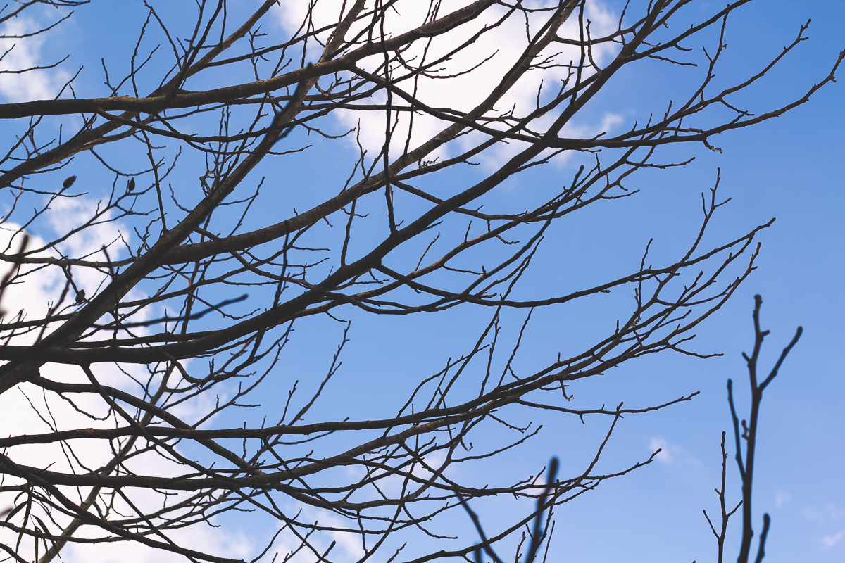fotografa de familia em santa catatina, ensaio familia 1 ano, ensaio de bebe 1 ano, ensaio infantil tema aviador, fotos bebe aviador
