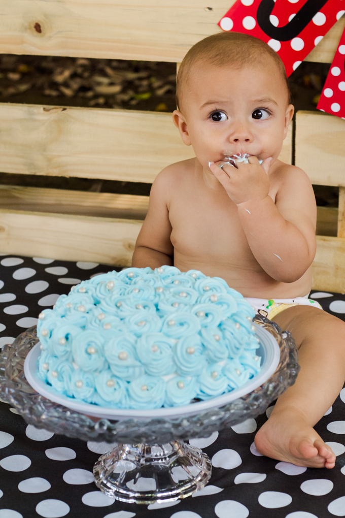 smash the cake, joinville, aline paim fotografia, ensaio bebê, ensaio externo com bolo, joao comendo bolo