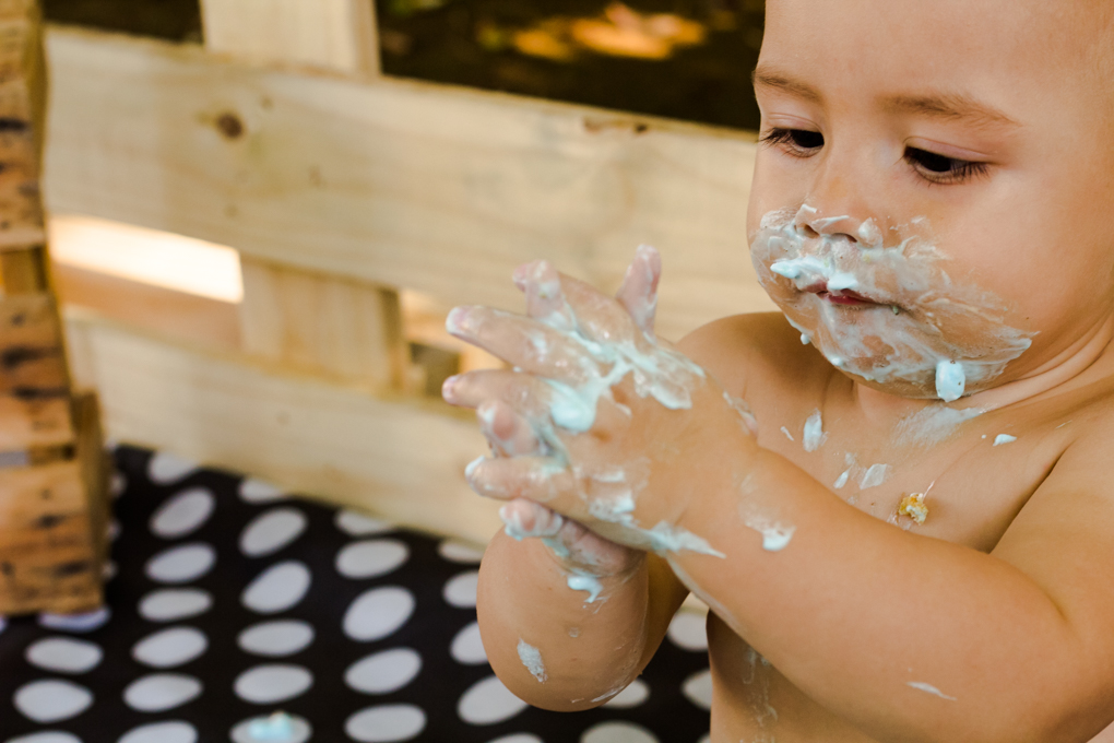smash the cake, joinville, aline paim fotografia, ensaio bebê, ensaio externo com bolo, mao, fotografia de familia