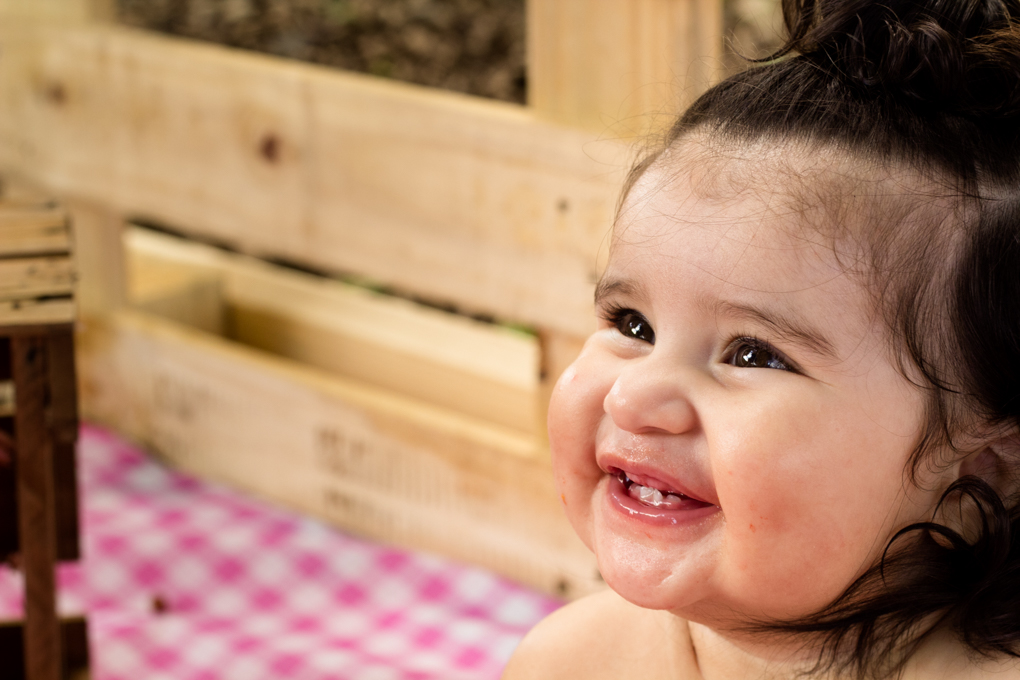 Ensaio Smash The Fruit, aline paim fotografia, ensaio externo, fotografia de familia, fotografo em joinville, ensaio bebê, ensaio menina,