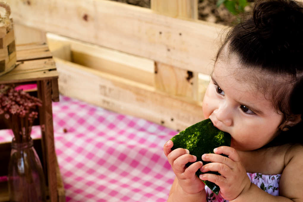 Ensaio Smash The Fruit, aline paim fotografia, ensaio externo, fotografia de familia, fotografo em joinville, bebê comendo melancia, magali