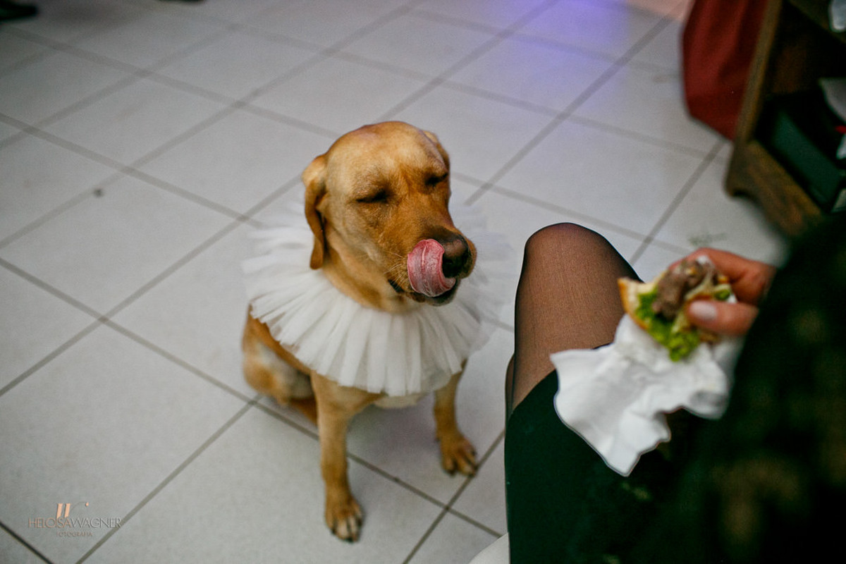Casamento | Izabella e Stefan |  Xanxerê | 22.10.2016