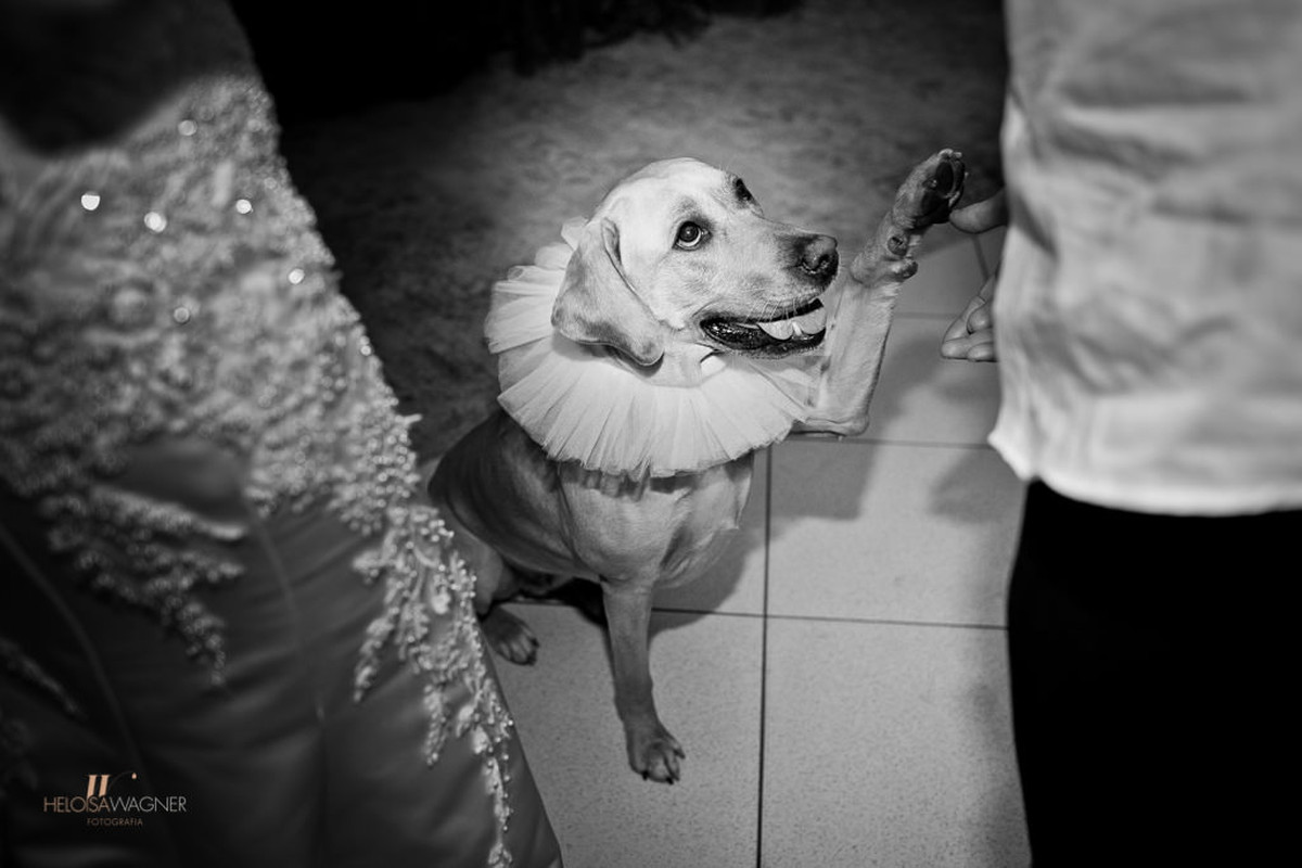 Casamento | Izabella e Stefan |  Xanxerê | 22.10.2016