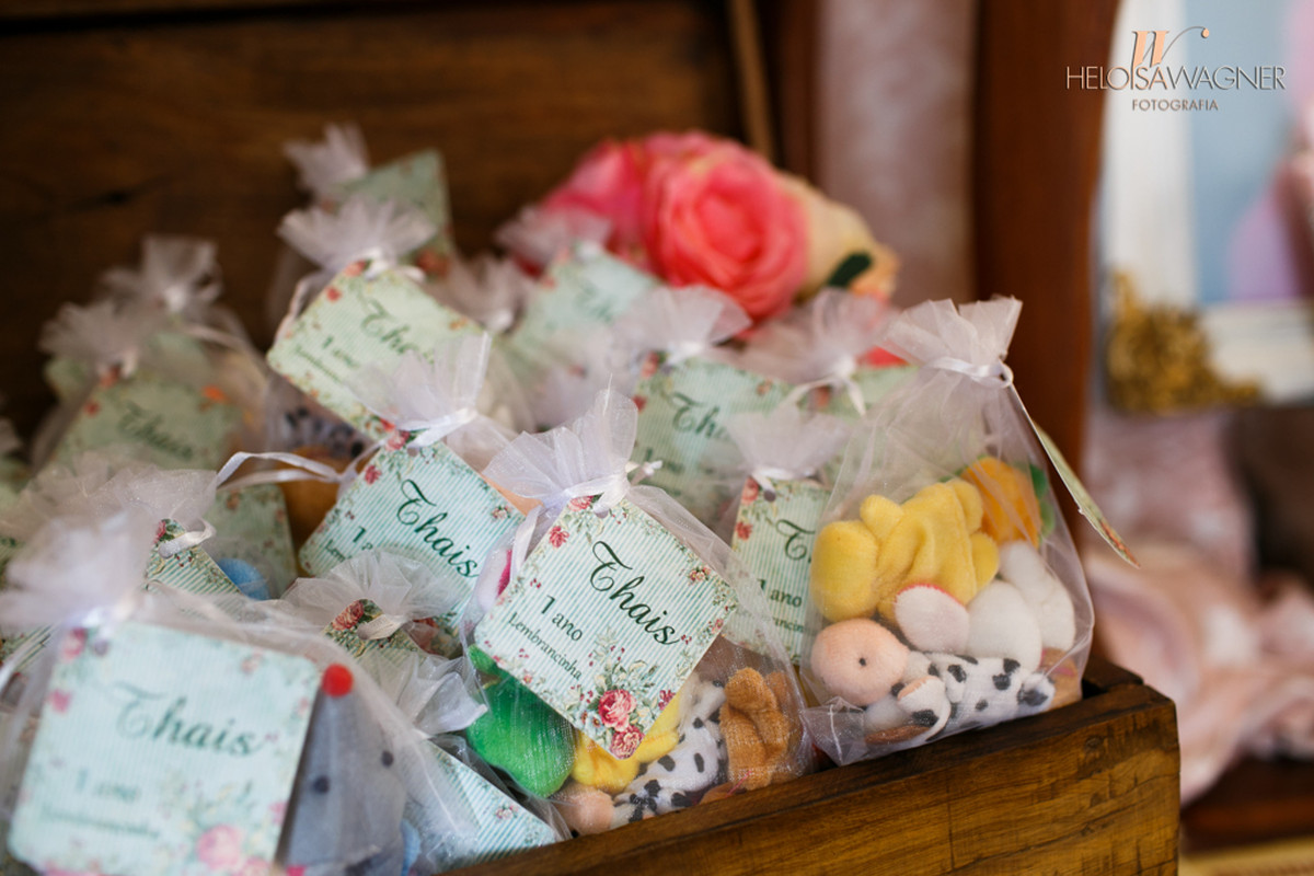 1 ano | Thaís Tacca Faccini | Xanxerê | 08.10.2016