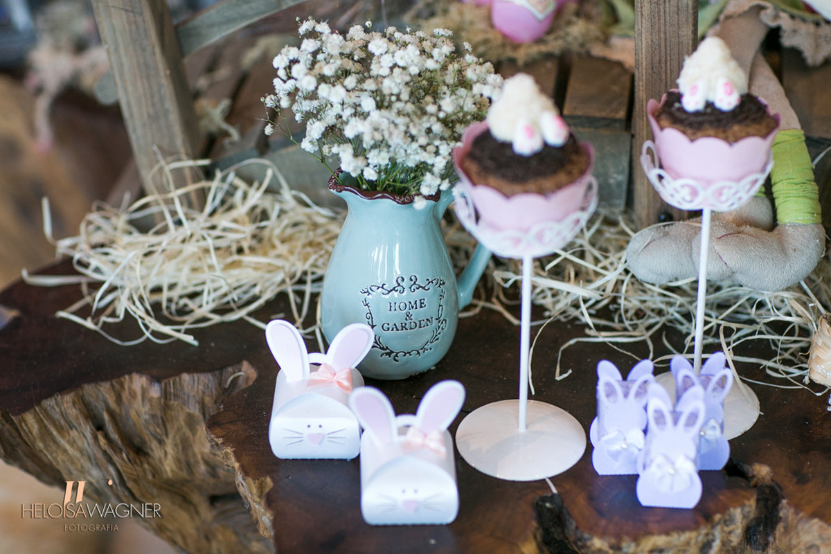 1 ano | Eva Schlindwein | Brusque-SC | 26.03.2016