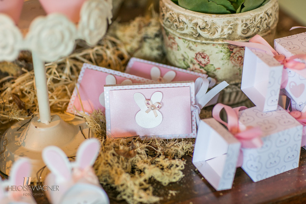 1 ano | Eva Schlindwein | Brusque-SC | 26.03.2016