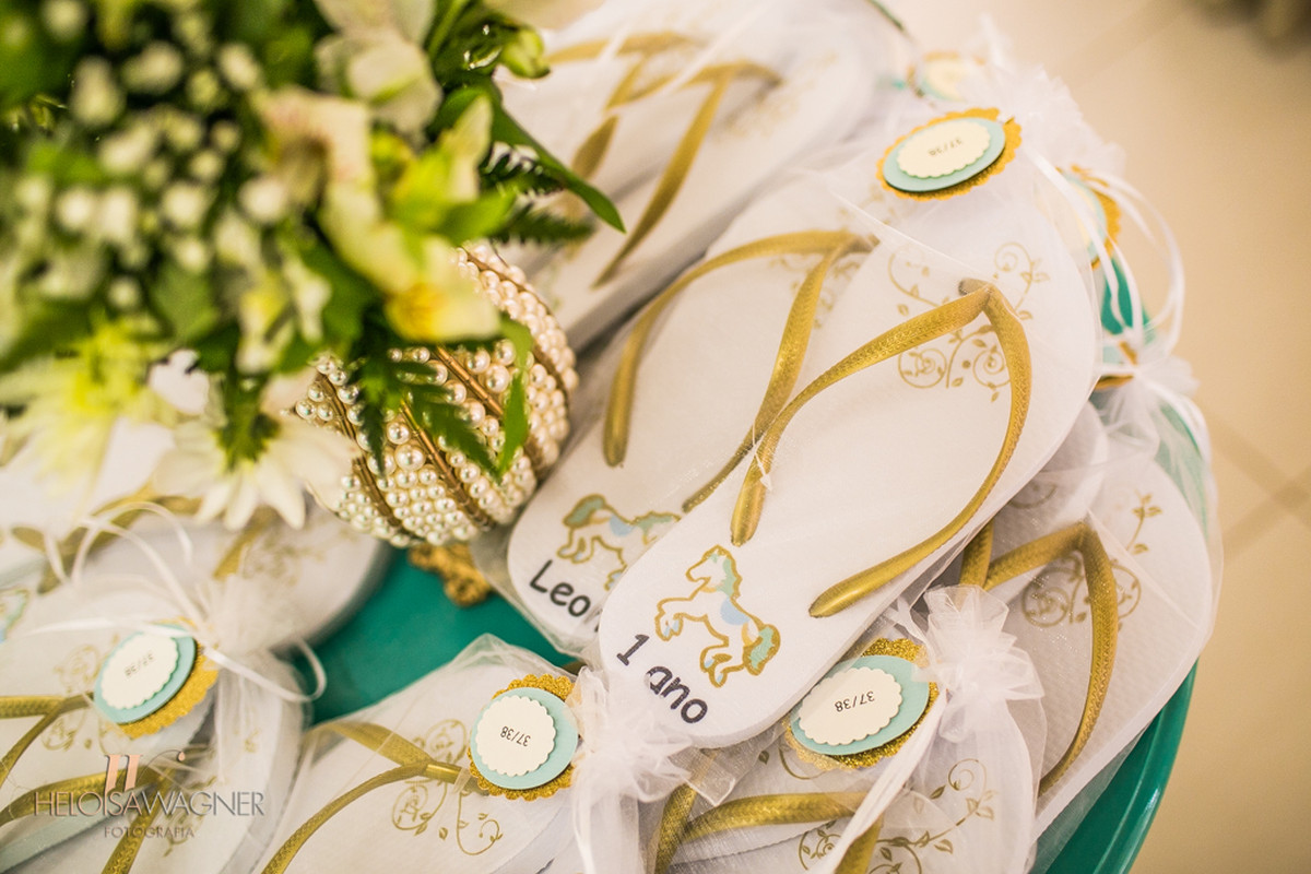 1 ano | Leon Prezzotto | Chapecó-SC | 19.12.2015