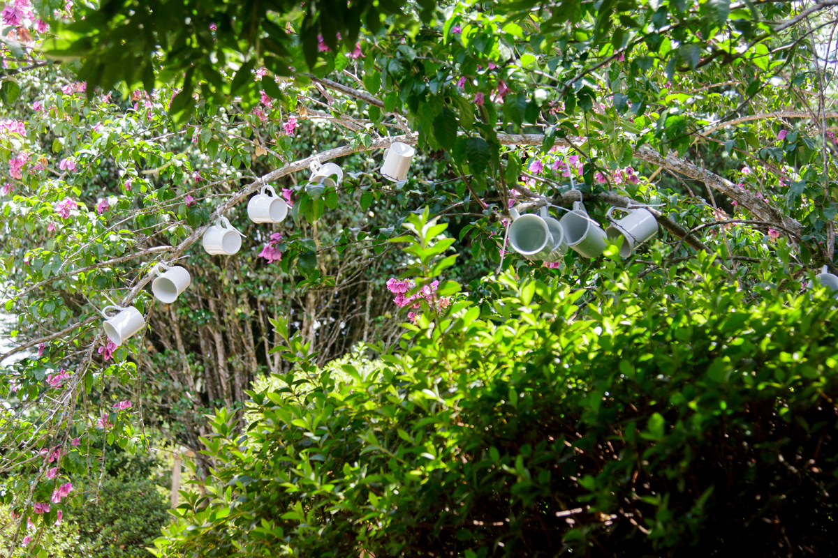 Casarão, Café, Colonial, Caminho do Vinho, São José dos Pinhais, Paraná, ambientes, salas, aconchego, Maribeger, fotografia, área externa.
