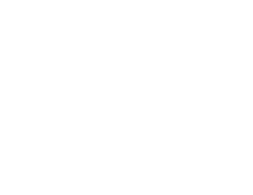 Logotipo de Flávia Ditós