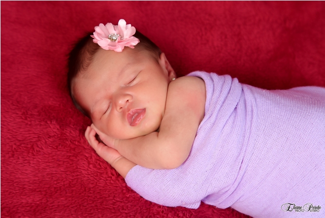 Newborn, Recém-Nascidos, Fotografia de Newborn, Fotografia de Estúdio, Bebês, Barra Bonita