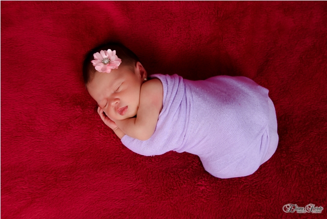 Newborn, Recém-Nascidos, Fotografia de Newborn, Fotografia de Estúdio, Bebês, Barra Bonita