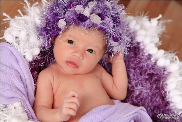 Newborn, Recém-Nascidos, Fotografia de Newborn, Fotografia de Estúdio, Bebês, Barra Bonita