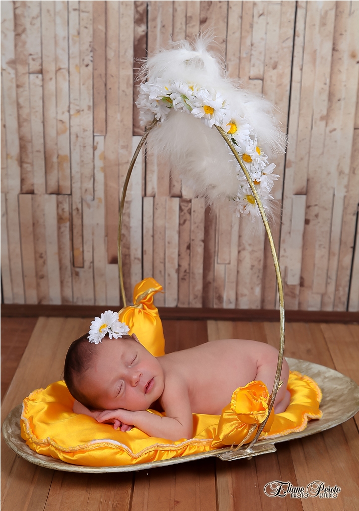 Newborn, Recém-Nascidos, Fotografia de Newborn, Fotografia de Estúdio, Bebês, Barra Bonita