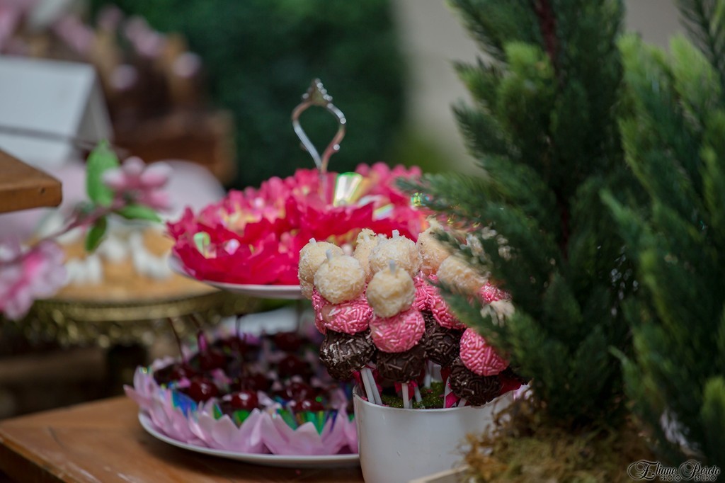 aniversário de 1 aninho, meu 1° ano, Maria, Barra Bonita, Eliane Peroto, decoração jardim, só sorrisos, Maria 1° Aninho