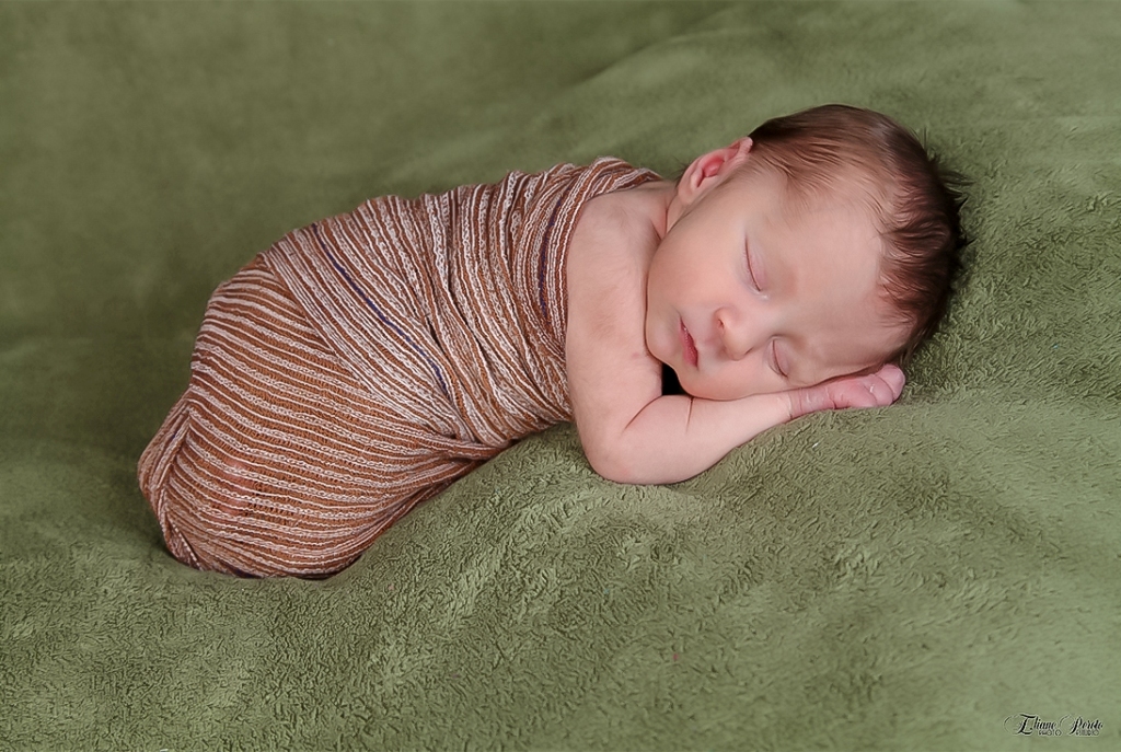 Newborn, Recém-Nascidos, Fotografia de Newborn, Fotografia de Estúdio, Bebês, Barra Bonita